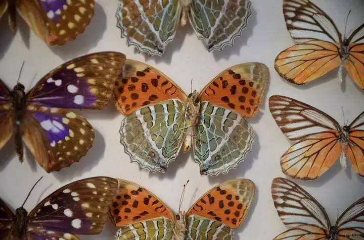 五一可以带孩子去银川吗,银川真的适合带孩子去吗