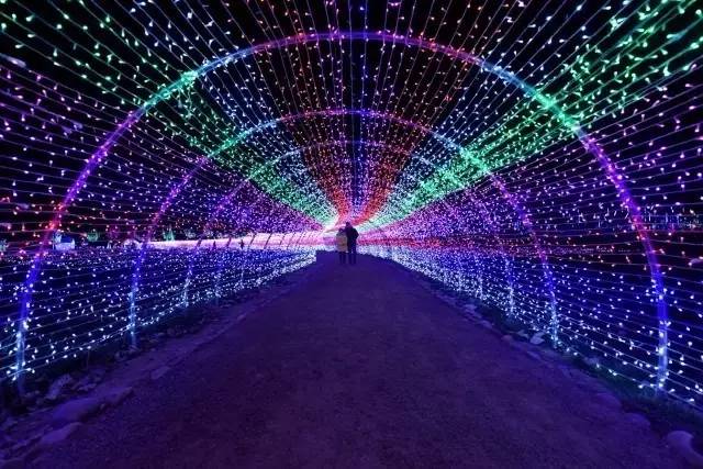 五一可以带孩子去银川吗,银川真的适合带孩子去吗