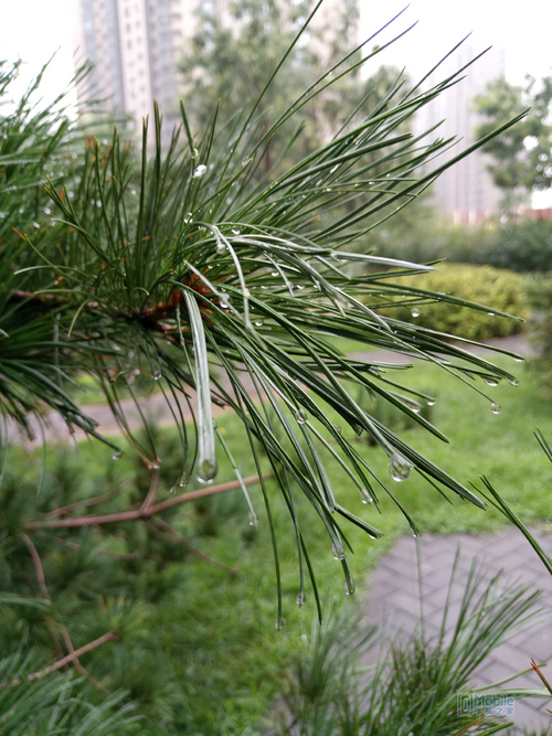 <html>
<head><title>502BadGateway</title></head>
<body>
<center><h1>502BadGateway</h1></center>
<hr><center>nginx</center>
</body>
</html>
<!--apaddingtodisableMSIEandChromefriendlyerrorpage-->
<!--apaddingtodisableMSIEandChromefriendlyerrorpage-->
<!--apaddingtodisableMSIEandChromefriendlyerrorpage-->
<!--apaddingtodisableMSIEandChromefriendlyerrorpage-->
<!--apaddingtodisableMSIEandChromefriendlyerrorpage-->
<!--apaddingtodisableMSIEandChromefriendlyerrorpage-->
