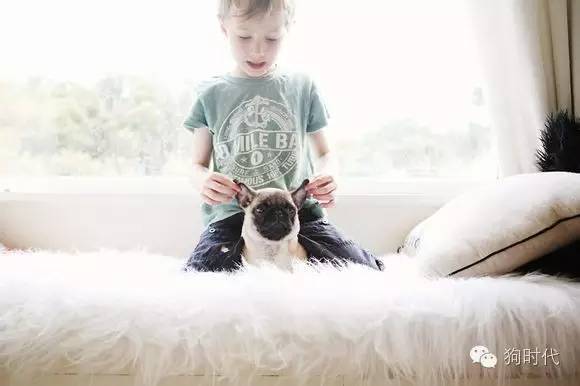 随手清理狗的粪便对吗,不停的捡猫毛