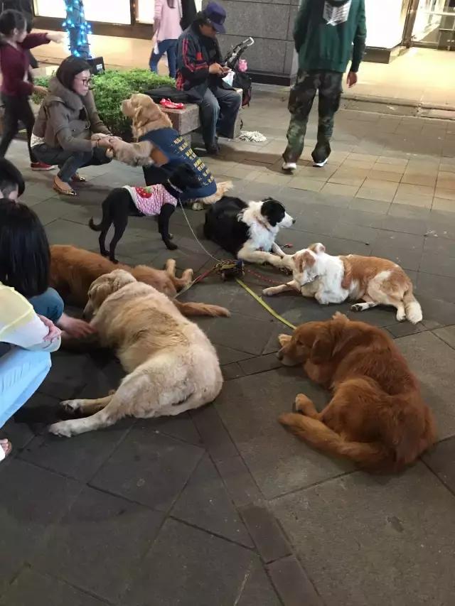 台湾寻找理想生活,台湾青年的小确幸