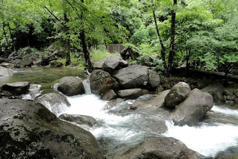 桐庐岩朵民宿游乐场,桐庐适合亲子游玩的民宿