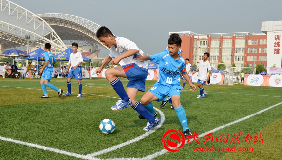 2023未来之星阳光体育大会,2017未来之星夏季阳光体育活动