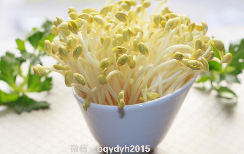 母婴安全大检查,准爸爸孕期保健知识