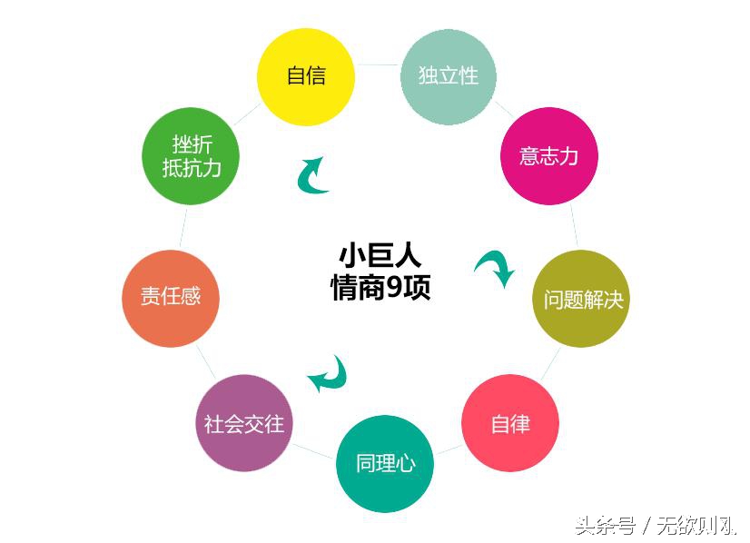 人生成功十商大全——德智灵情心志健逆胆财