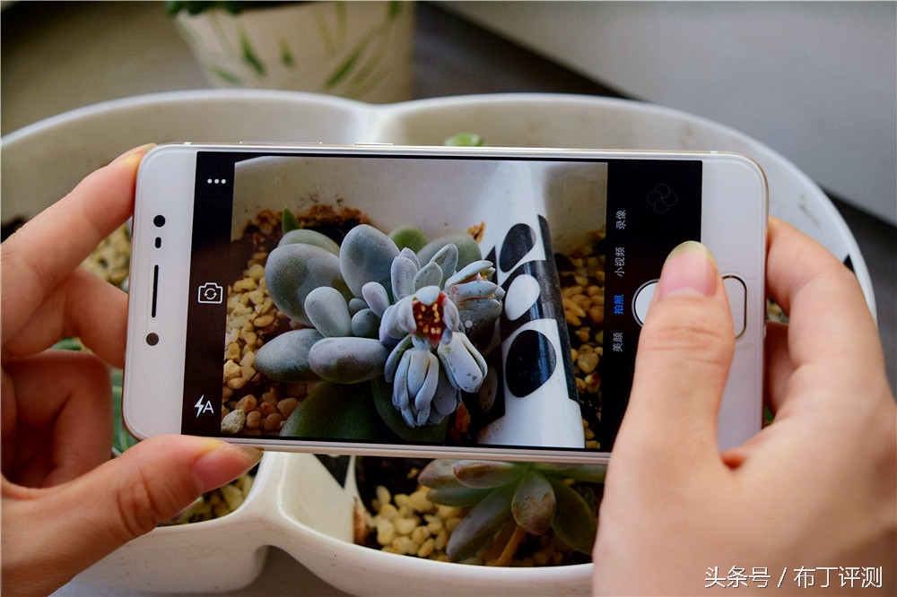 vivox71600万柔光双摄,vivox7拍照效果