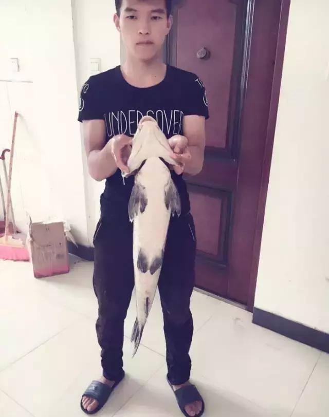 《渔获战报》大青鱼爆连引发的连环事件