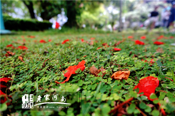 玩美假期马来西亚旅游,六日沙巴自由行攻略