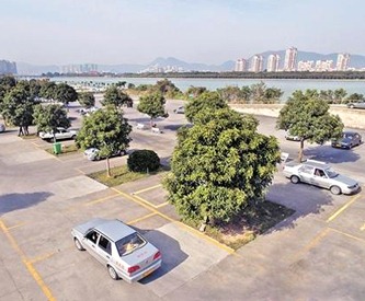 泉州驾校学费会再降吗,现在报名驾校多少钱泉州