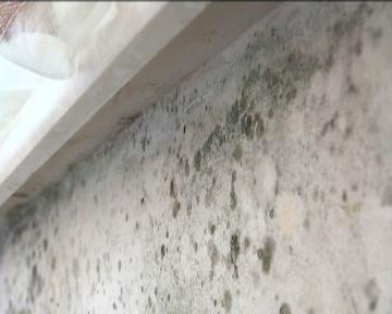 乳胶漆墙面小磕碰怎么修复,乳胶漆墙面磕碰怎么修复