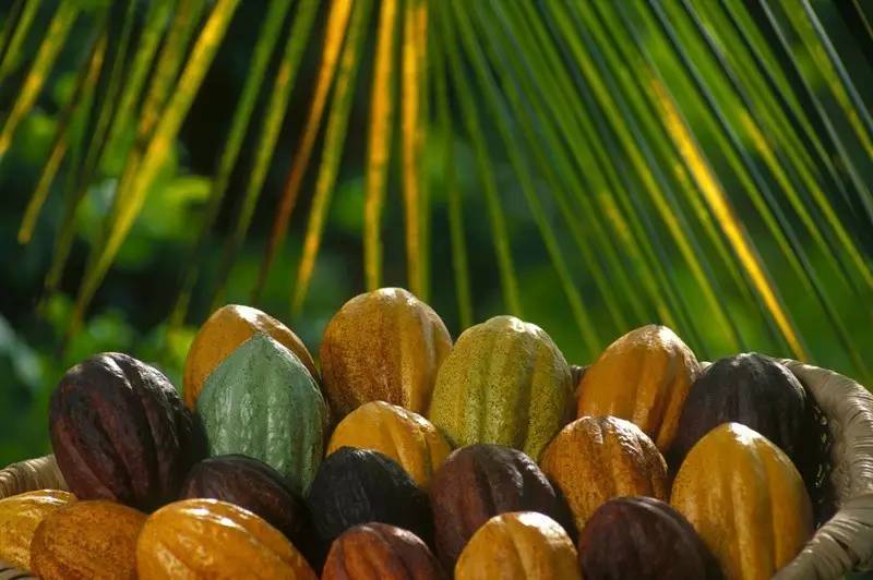 期待第17届东博会首批参展品已到,东博会国际展会