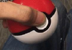 萌物东西推荐,什么萌物好看