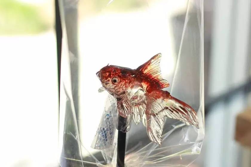 lifeistough｜比起鸡汤你可能更需要来一场暖心日本行