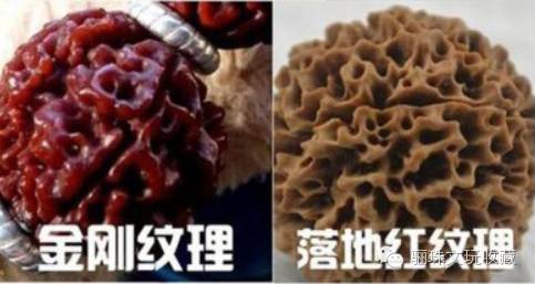 新手必须知道的东西,新手必学的药品知识