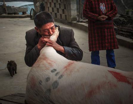 舌尖上的新年中出现的菜肴,舌尖上的春节吃什么最放心