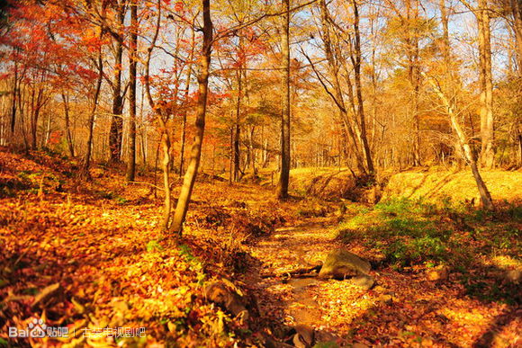 现在的古装剧都在哪里取景的,古装剧拍摄旅游地