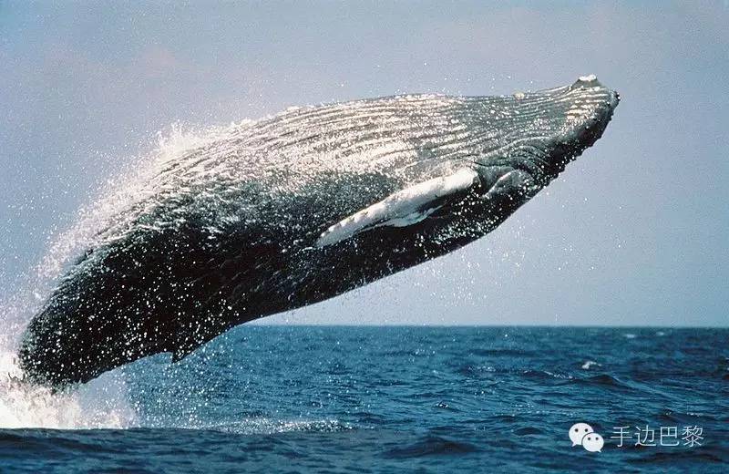 免签旅游地,免签地区汇总