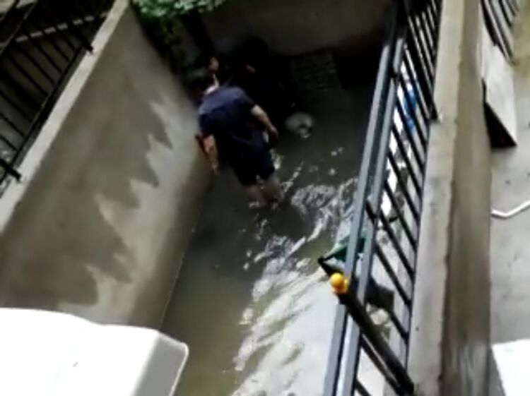 说好的协调会如期开了丽晶公馆业感觉主还是“被忽悠了”