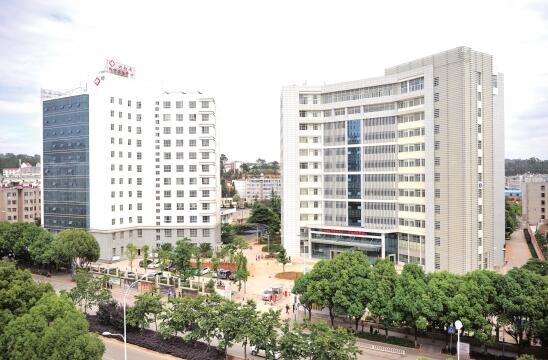 云南省精神病院网址,昆明市精神病医院是公立的吗