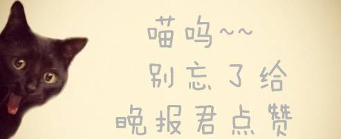 阳西潮汕石花冻是什么做的,石花冻怎么制作