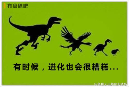 子午养生术,子午流注时辰养生