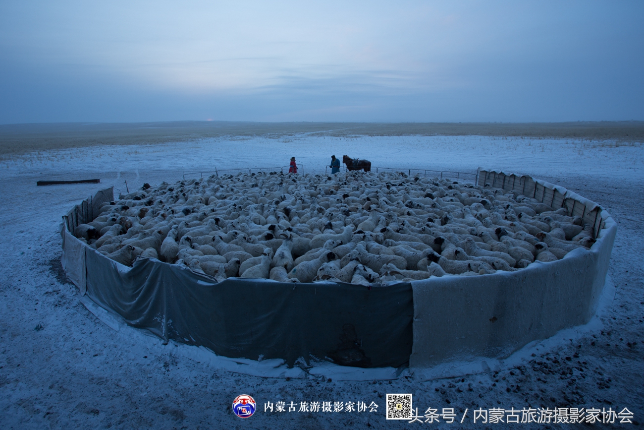 2018平遥摄影节参观攻略,平遥国际摄影大展旅游