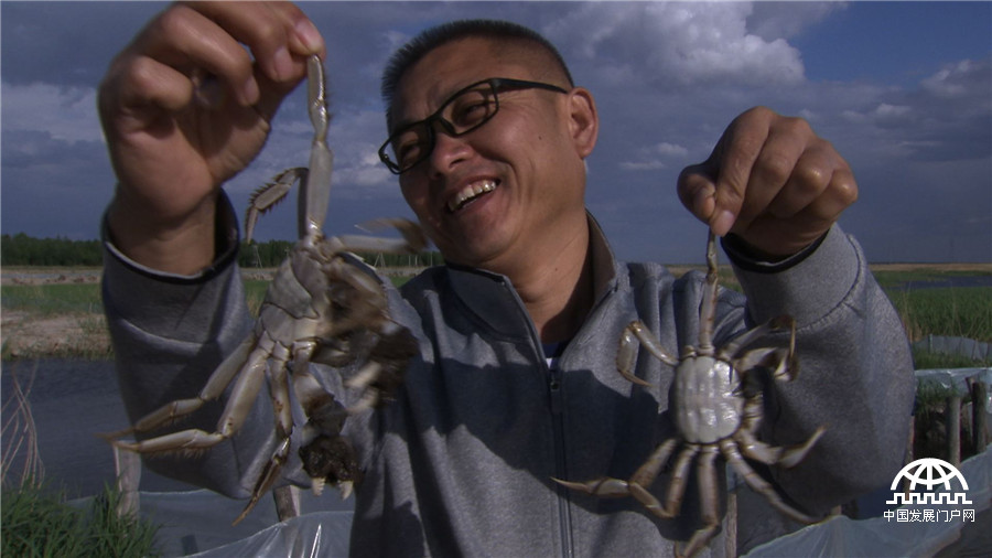 致富经养鱼一年多卖1000万,致富经一亩地赚过亿