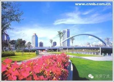 宁波再次领跑全国被世界瞩目,宁波拿了几枚金牌