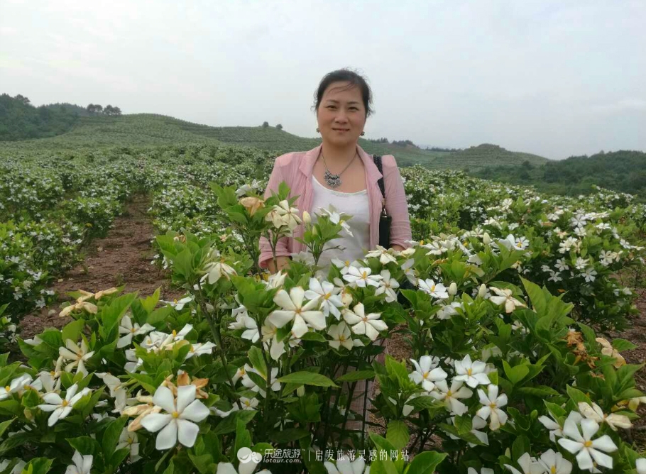 蛇形山镇最新诈骗案,蛇形山镇缅甸诈骗案