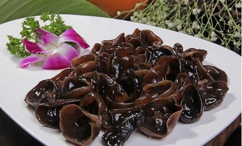 黑木耳减肥法食谱,黑木耳减肥新吃法