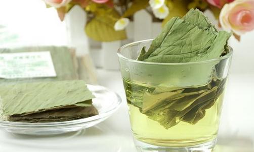 什么叶子能解暑,一种叶子泡水喝可以通便