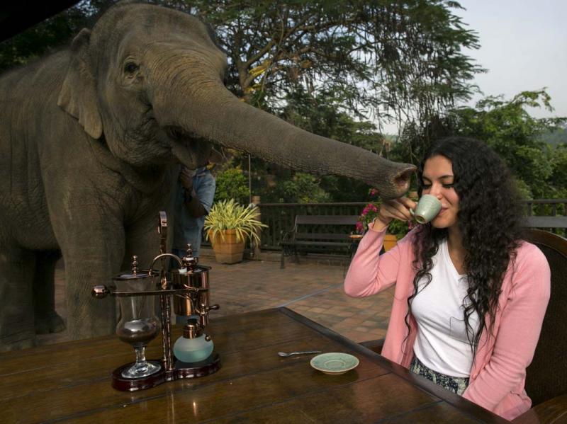 中国必买的手信,东南亚手信有哪些