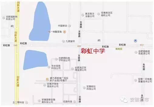 合肥中小学排名前十名,合肥十大重点小学学区房价一览表