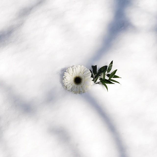 有些人只能一别两宽各自安好,一别两宽各自心安互不打扰