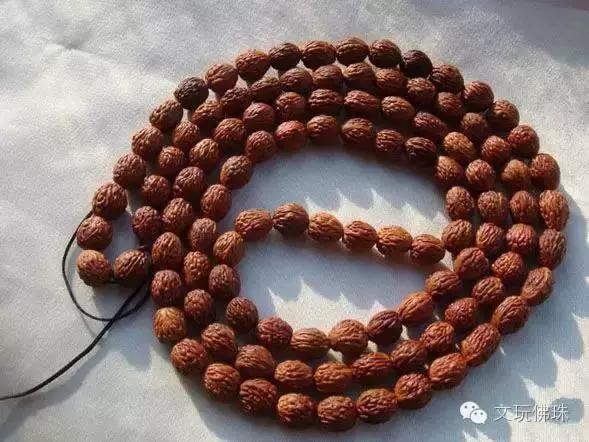 尼泊尔当地的凤眼贵吗,尼泊尔凤眼和国内凤眼颜色区别