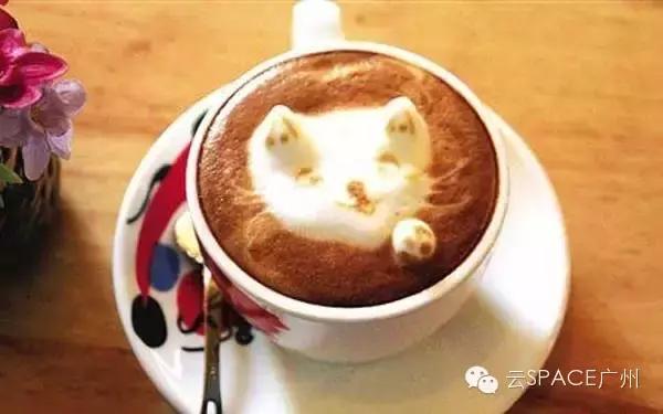 喵星人咖啡厅，治愈你疲惫的心！