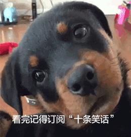 十条笑话:男人就像芒果,外表黄,里面更黄!