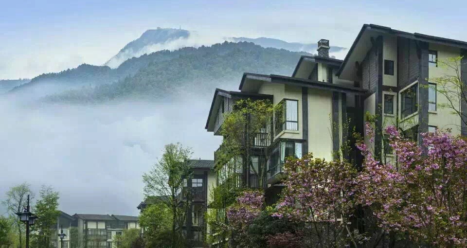 峨眉山半山七里坪风景,了解峨眉山七里坪