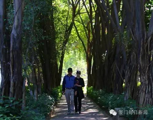 厦门最凉快的景点,厦门岛内适合烧烤的地方