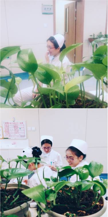 乡村医生的摄影作品,摄影作品乡村医生