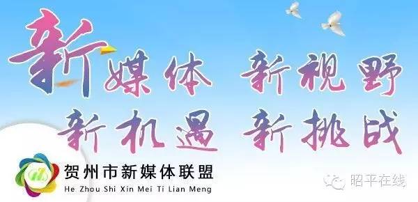 补脑第一名中药材,补脑第一保健品