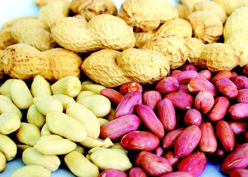 晚上吃什么水果不会胖还利于减肥,晚上不宜吃的六种水果越吃越胖