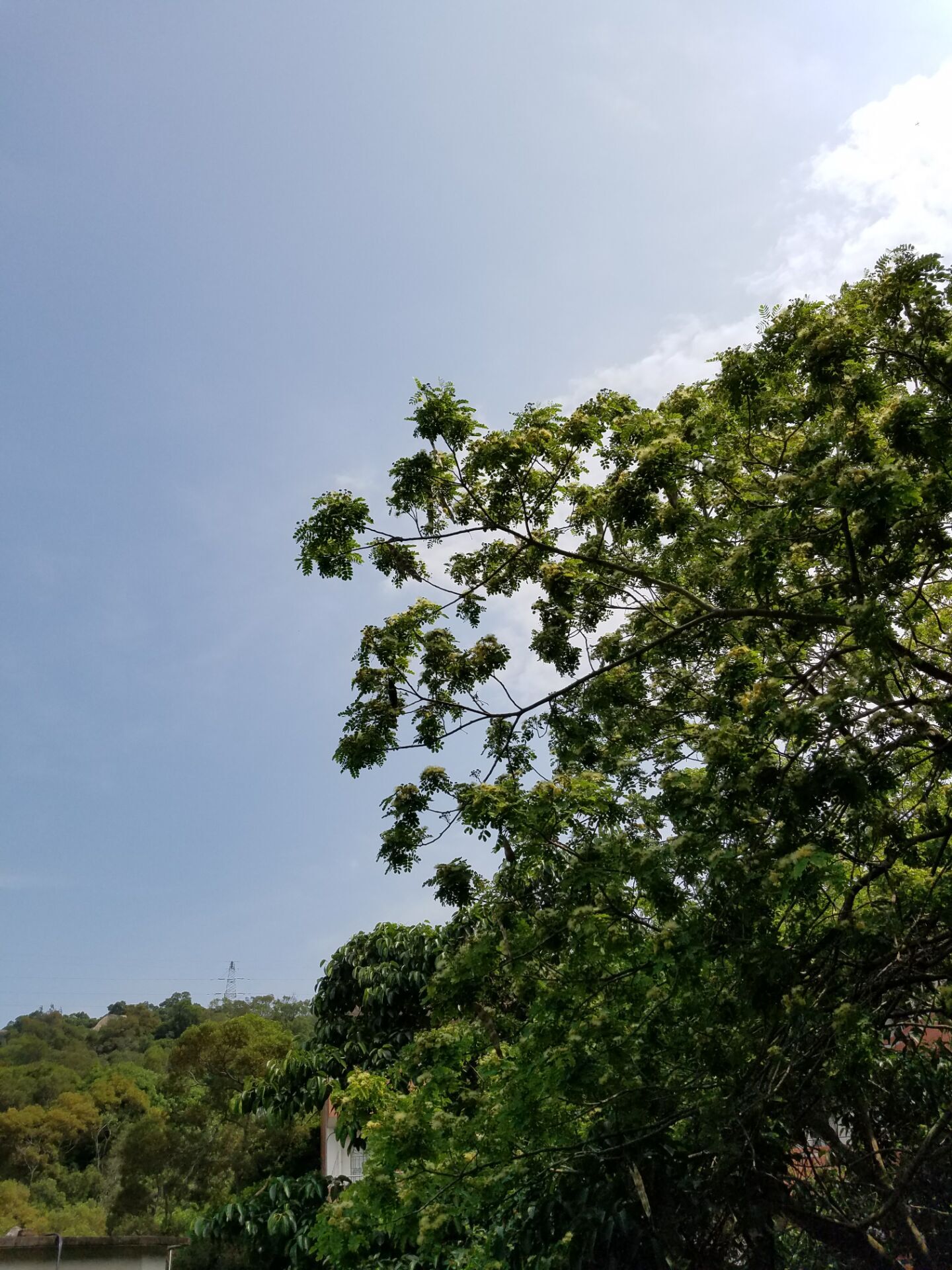 乐2pro评测视频,乐2pro入门级