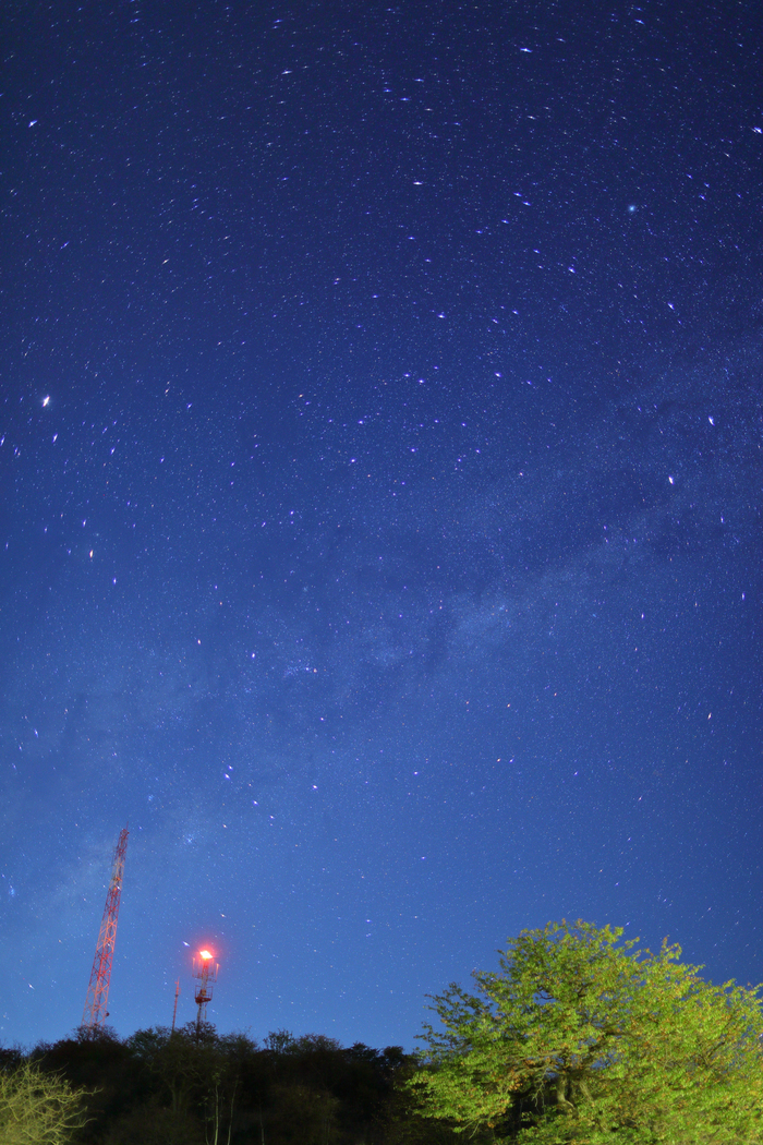 猎豹狂奔与狮子对敌,猎豹奔跑高清震撼视频