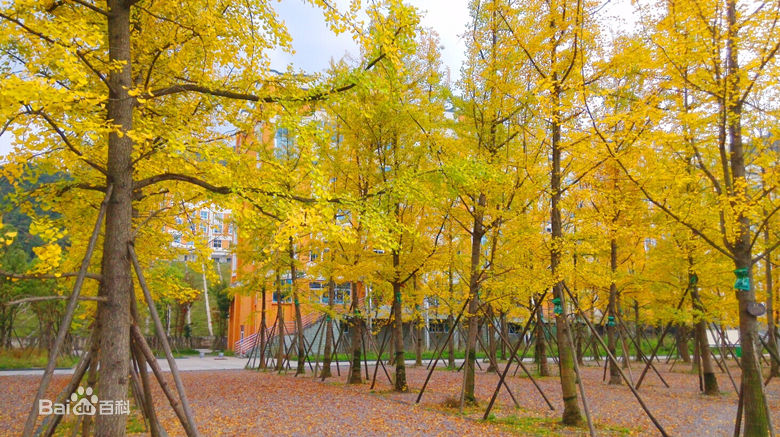 六盘水师范学院图,六盘水师范学院图书馆打扫卫生