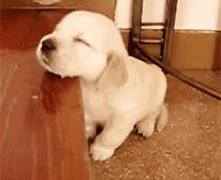 陪伴是最长情的告白你同意吗,陪伴是最长情的告白请勿连赞