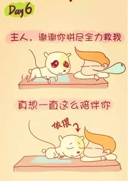 陪伴是最长情的告白你同意吗,陪伴是最长情的告白请勿连赞