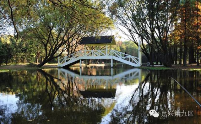 宁波出发高铁4-5小时能到哪里,宁波出发坐高铁三日游推荐