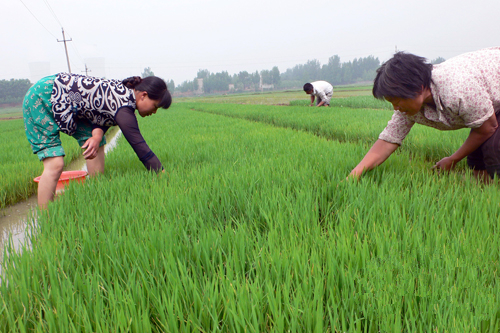 警惕|爱过敏的你要小心,千万不能像她这么做!