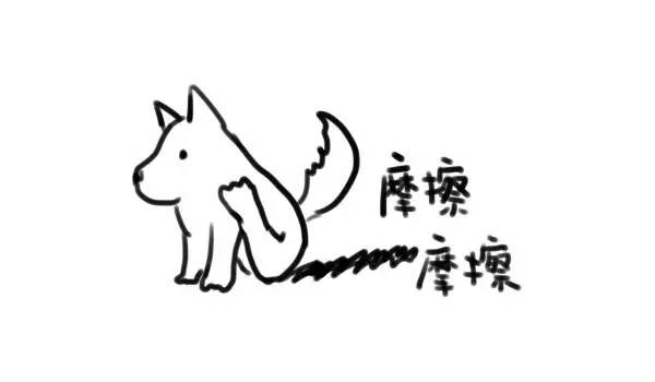 给汪星人洗澡，肛门腺在哪儿？